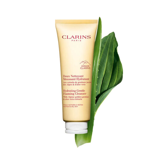 Clarins Hydrating Gentle Foaming Cleanser