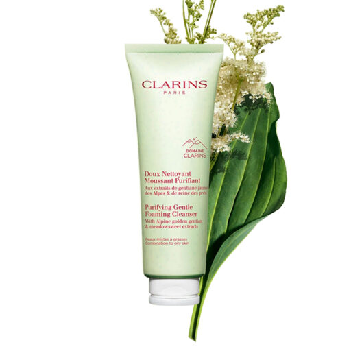 Clarins Purifying Gentle Foaming Cleanser